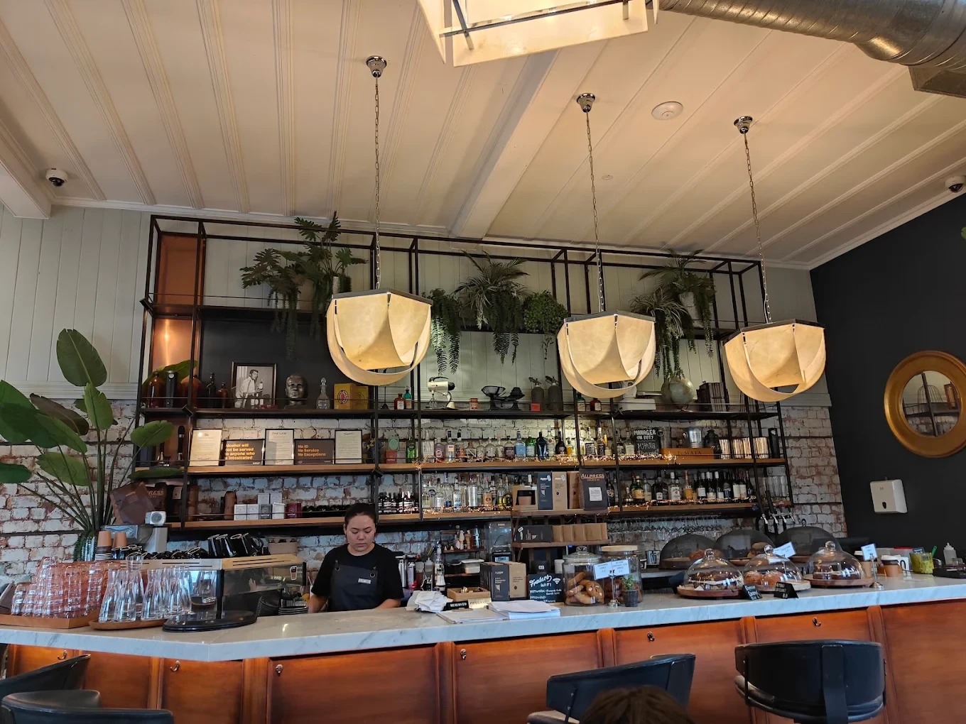 Frasers — Café in Albert-Eden