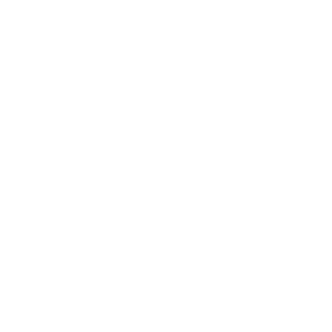 Reo Māori Mai
