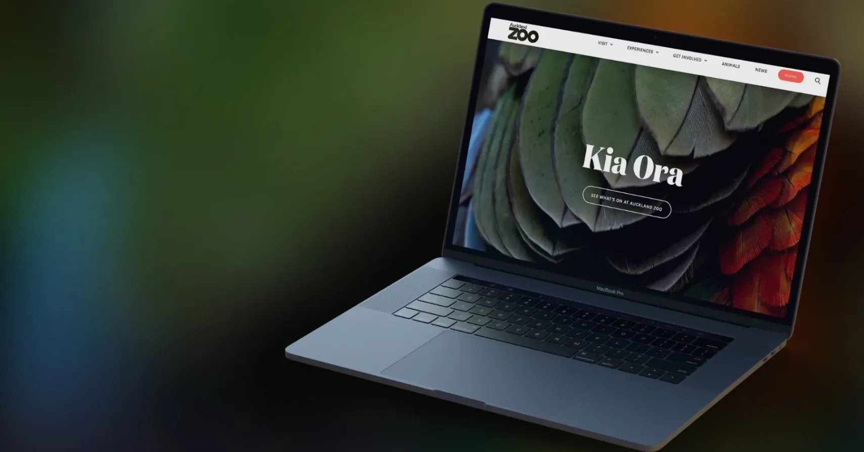 Pixel Fusion Ltd — Digital Marketing Agencies in Parnell