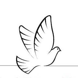 Pickering Funeral Services Wairoa