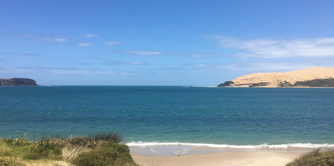 Te Ramaroa Ltd: Māori Health Research — Business Consultants in Bay of Islands