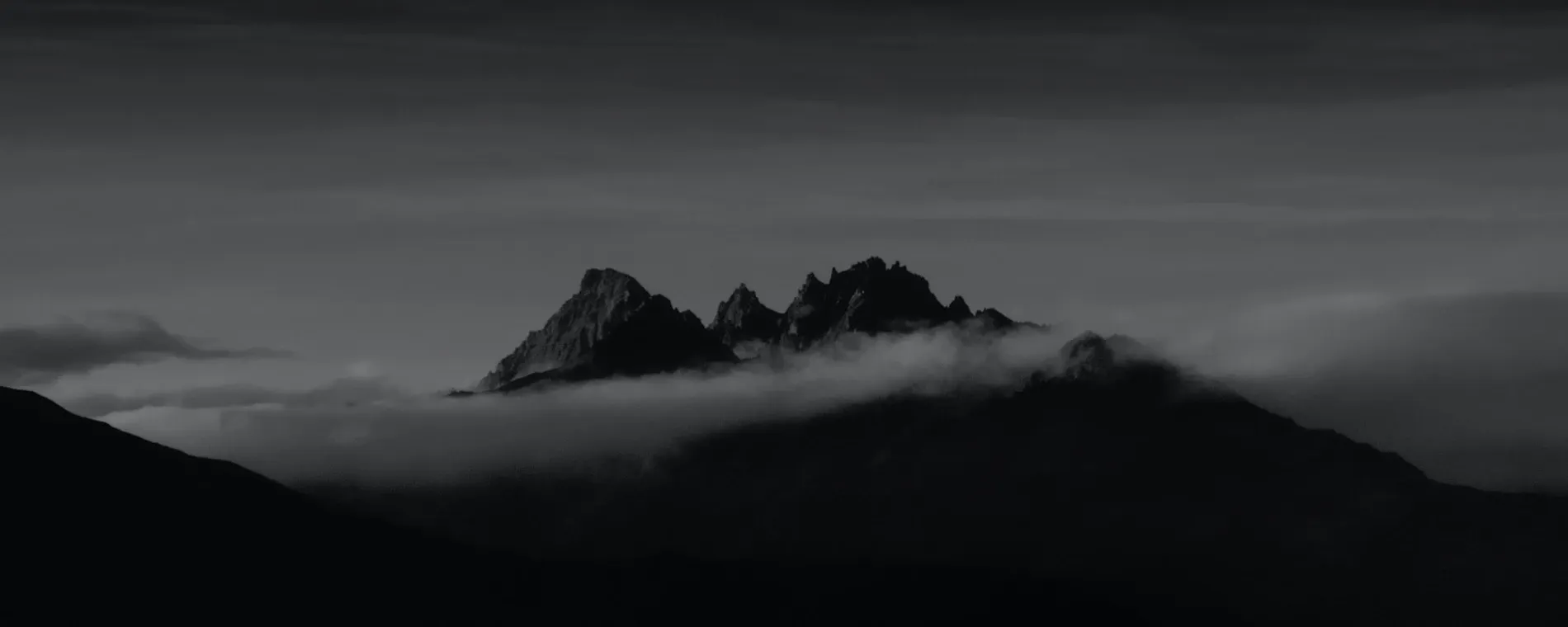 Indic Design — Graphic Designers in Wellington