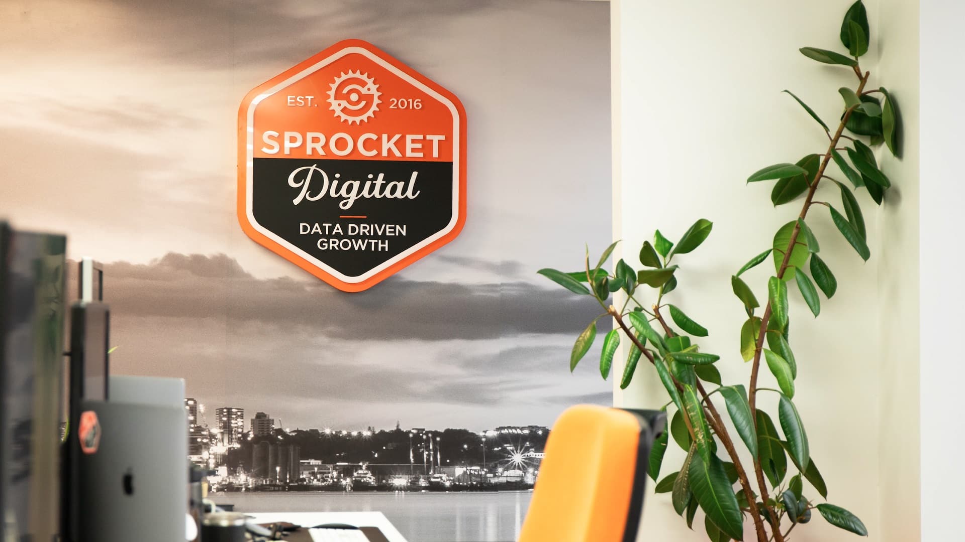 Sprocket Digital — Digital Marketing Agencies in Albert-Eden