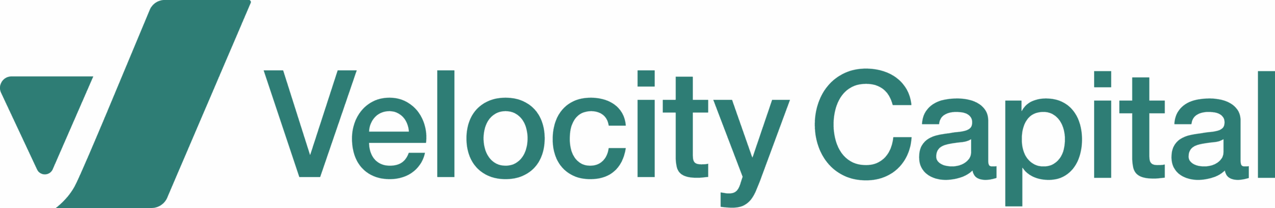 Velocity Capital — Business Consultants in Hamilton