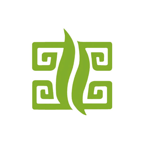 Success Health Centre logo
