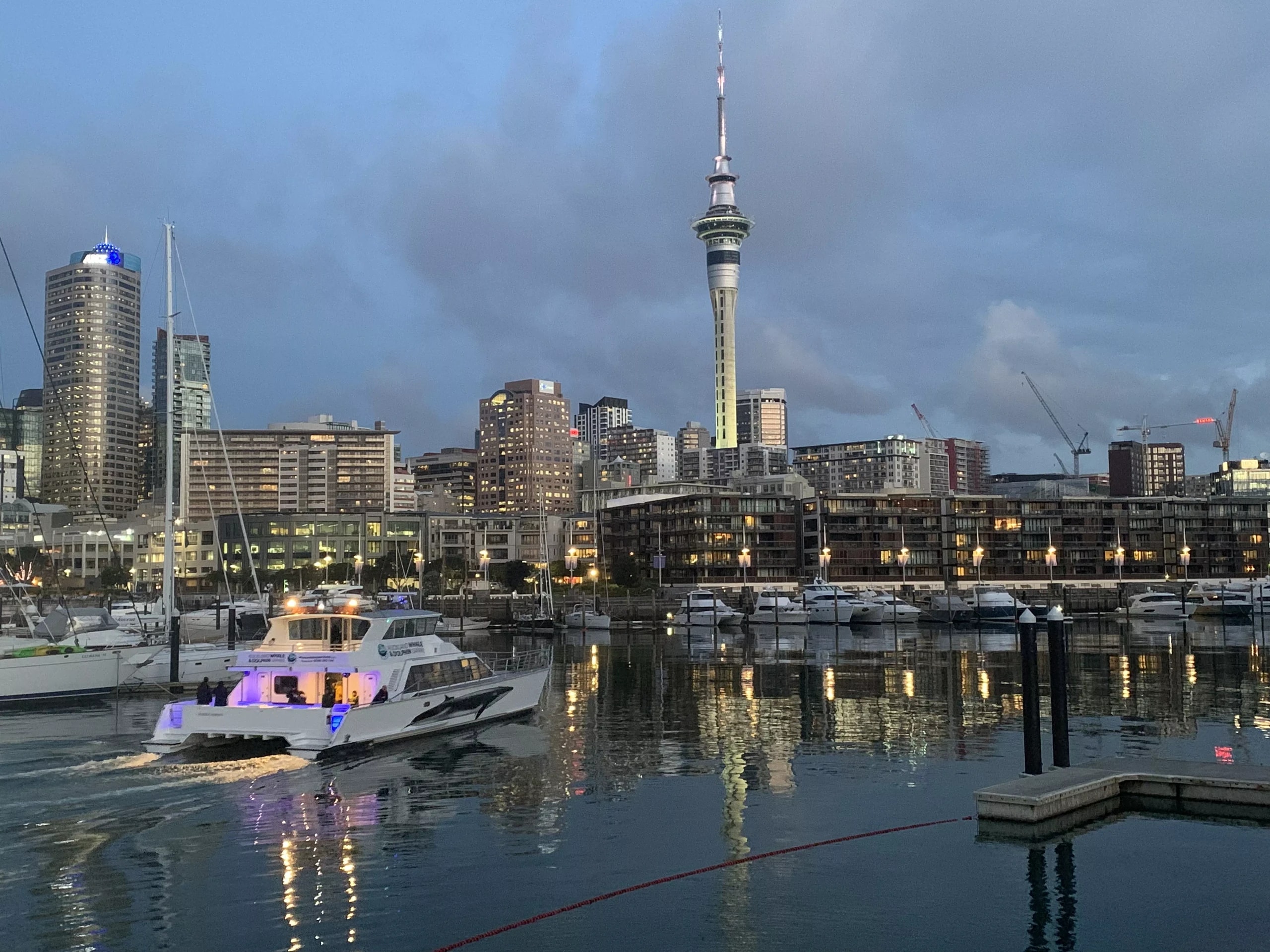 Sunnyville Property Management — Property Managers in Auckland