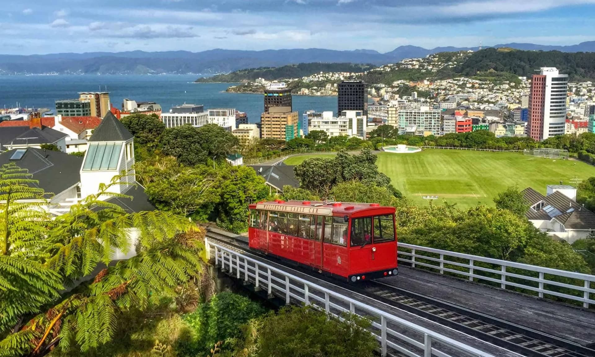 Wellington Business Directory