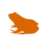 BlueFrog Digital