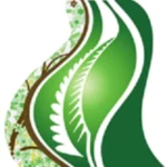 Phillips Family Chiropractic