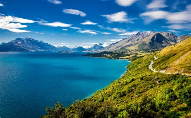 Southland Business Directory