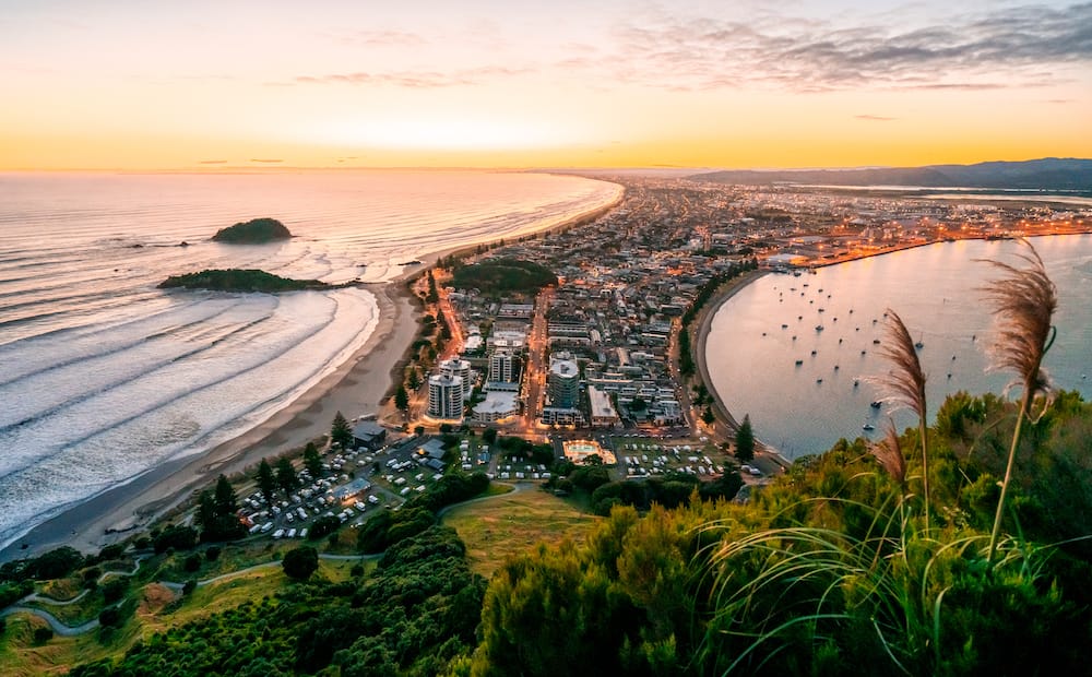 Tauranga Business Directory