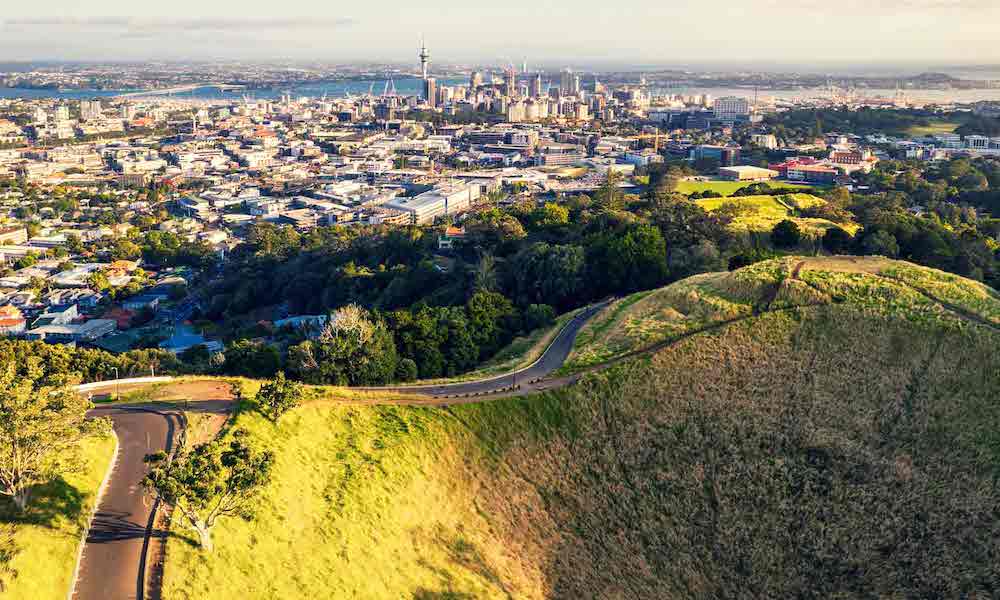 Mount Eden Business Directory