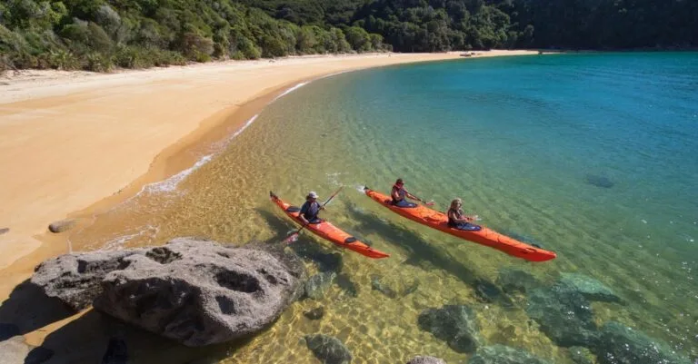 Waimea Insurance Brokers