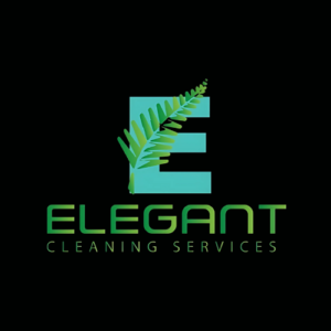 Elegant Clean Logo