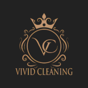 Vivid Cleaning Logo