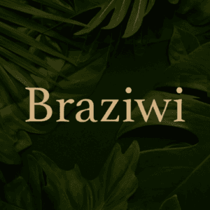 Braziwi Logo