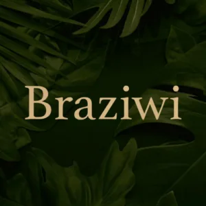 Braziwi Logo