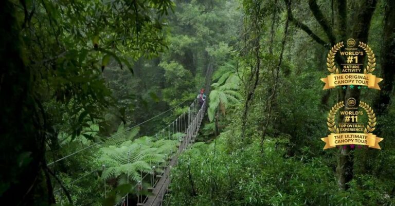 Rotorua Canopy Tours