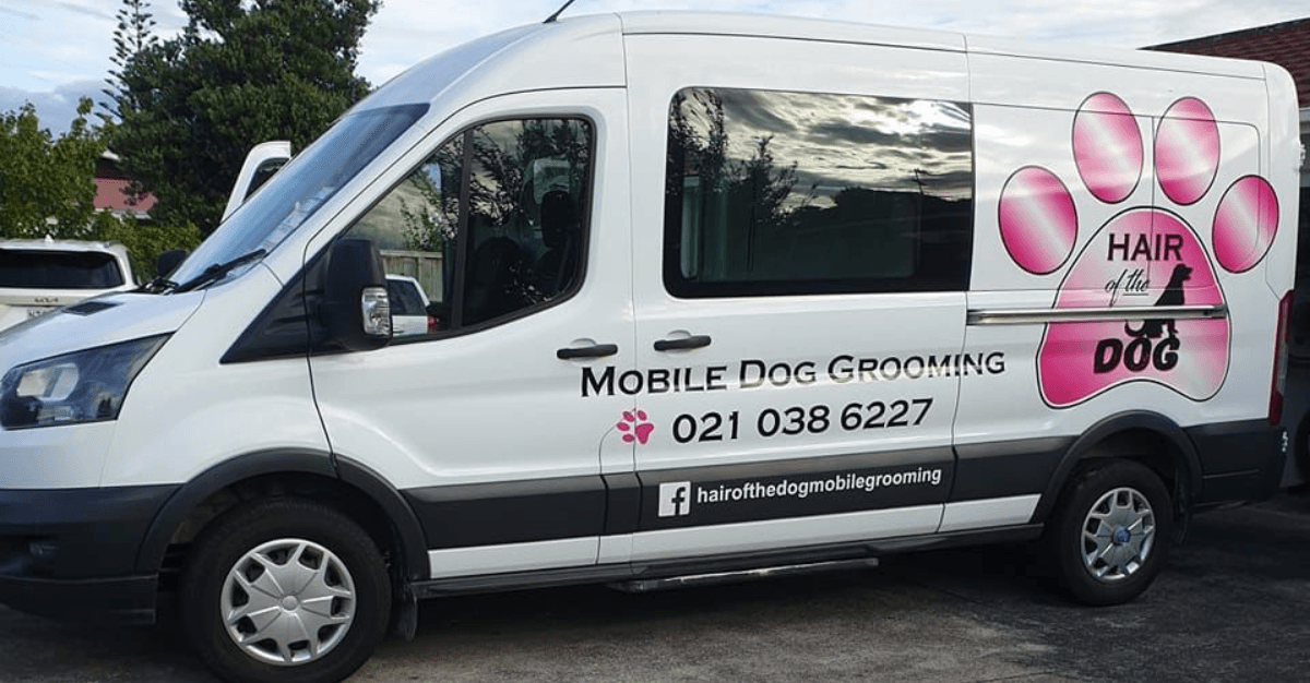 12 Social Media Content Ideas for Dog Grooming Salons