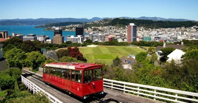 wellington business directory