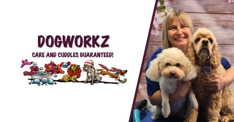 dogworkz pokeno cover.jpg