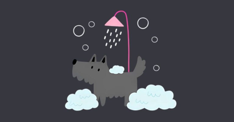 kapiti dog grooming.jpg