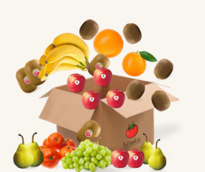 fruit box regular may 2025.png