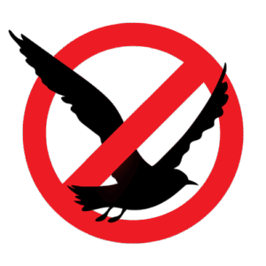 copy of icon.png